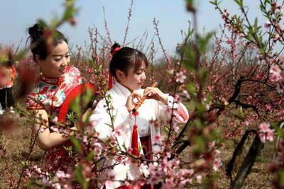 芜湖市繁昌区平铺镇2021桃花节开幕