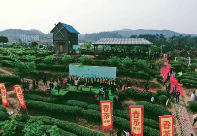 “春伦香茗 领鲜进万家”2021中国·福州春茶开采节启幕