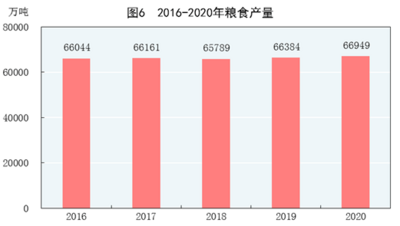 国家统计局：2020年粮食产量66949万吨 比上年增产0.9%