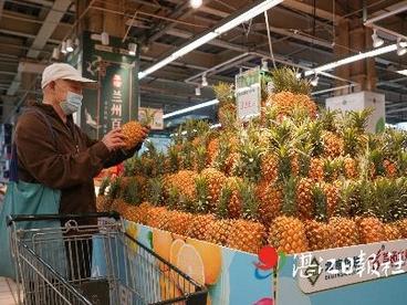 徐闻菠萝进兰州 跨越千里的“奇缘”