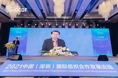 王辉耀：完善全球治理需要国际组织发挥更多积极作用