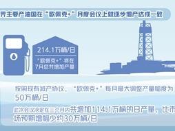 世界主要产油国就逐步增产达成一致——“欧佩克+”将灵活调整生产计划  