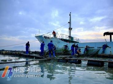 “宁波活鱼”在韩国市场成为一个响当当的品牌
