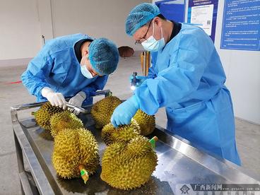 广西凭祥海关助力凭祥铁路口岸东南亚水果进口破万吨