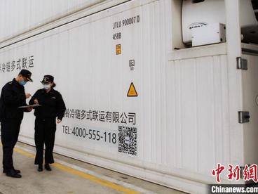 中国“攀枝花芒果”香飘俄罗斯市场