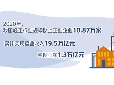 我国轻工企业应加快全球布局