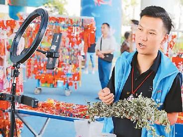 西部电商正在驶入快车道