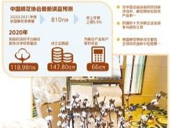 棉花期货助中国棉业高质量发展