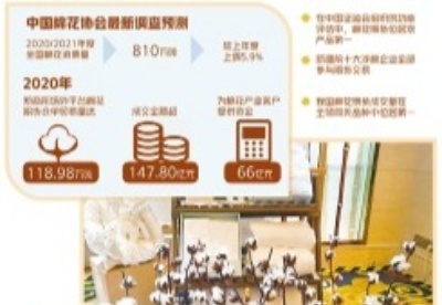 棉花期货助中国棉业高质量发展