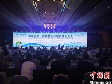 48个项目落户中国（山东）自由贸易试验区青岛片区 