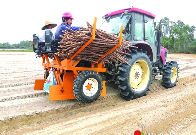 中国热带农业科学院农业机械研究所研发的木薯生产机械首次出口非洲