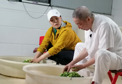 央视财经频道《生财有道》聚焦芜湖荻港香菜产业发展