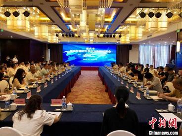 共谋发展 桂渝就深化陆海新通道合作展开对接