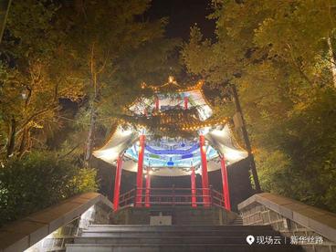 林口夜色