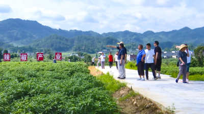 遵义市历史文化研究会到西坪镇举行乡村振兴文化采风暨《一代文脉掌山开》首发式