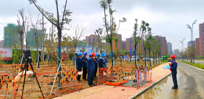 安徽泗县：加快电网建设速度 助力群众用电需求 