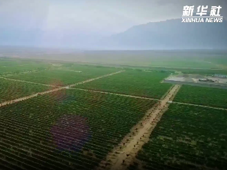 中国西北酿出世界级葡萄酒
