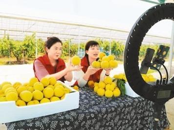全国乡镇快递网点覆盖率达98%，农村每天有1亿件包裹