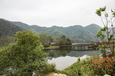 六安裕安区：美丽乡村如诗画