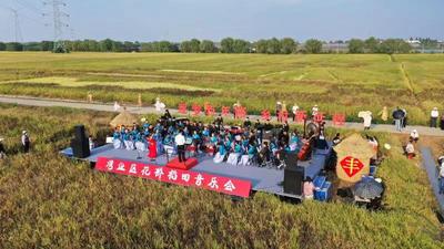芜湖湾沚区：上演“逐梦百年路 奋进新征程”稻田音乐会