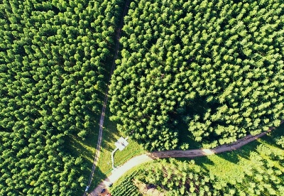 中国林草经济加速发展推动生态产品“增值变现”