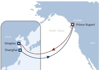 中远海运将新增两条“美线直客特快专线” 打造跨太平洋绿色通道