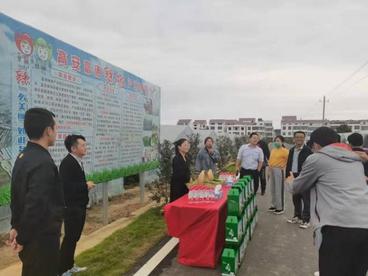 亮点多特色足 高安文旅融合发展势头强劲