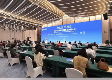 第四届进博会2021共享经济规范与发展论坛现场图集