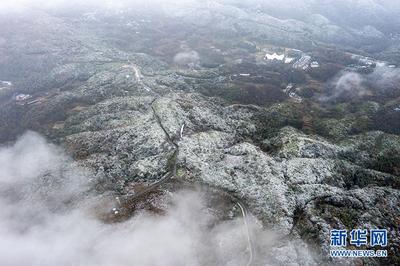 百里杜鹃迎来2021年入冬首场雪