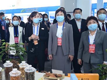 广西玉林建设中国—东盟中医药健康产业基地