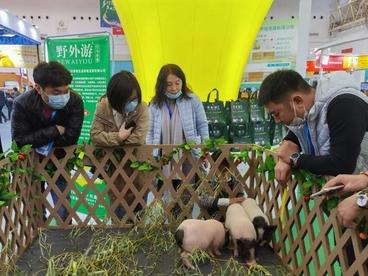 2021湖北农业博览会开幕 集中签约1422亿元