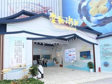 第四届进博会开幕在即 浙江集聚特色元素静候八方来客