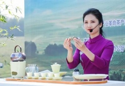 贵州：把绿茶打造成“金字招牌”“样板产业””靓丽名片”