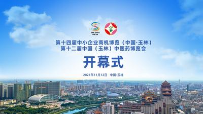 第十四届中小企业商机博览（中国·玉林）、第十二届中国（玉林）中医药博览会开幕式