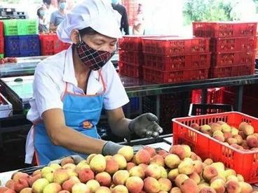 东盟的地理优势为越南企业带来合作商机