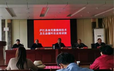 安徽庐江：推动高品质学用示范基地建设