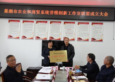 安徽巢湖：成立合肥首家跨行业、跨企业劳模创新工作室联盟