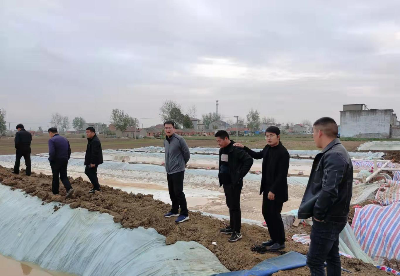 安徽泗县：扎实做好山芋打粉污染治理巡查工作