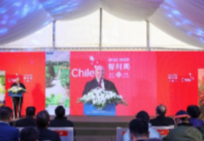 深化中智经贸合作关系 第六届“智利周”在京开幕