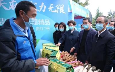 第一届“中国(贵州)天麻节”成功召开