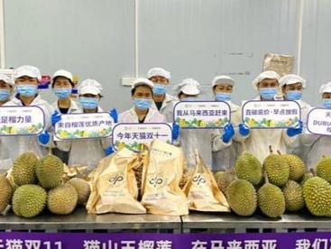 中国内需激活全球活力 235个海外品牌成交破千万