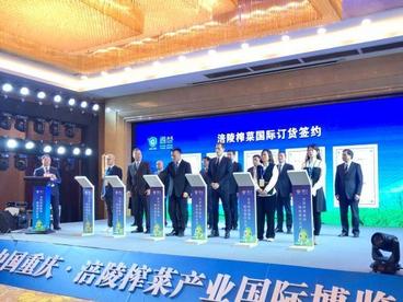 “中国榨菜之乡”重庆涪陵召开榨菜产业国际博览会