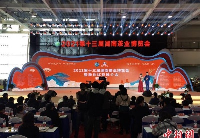第十三届湖南茶业博览会开幕 促进茶产业高质量发展