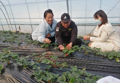 安徽濉溪开展新一轮新型职业农民指导服务工作