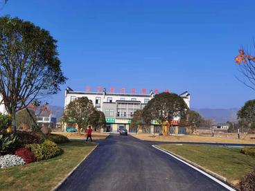 安徽庐江：建茶叶交易市场   服务茶企茶农
