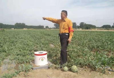 安徽灵璧：高标准农田“唱响”乡村产业振兴“赞歌”