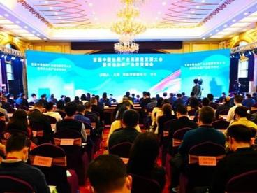 首届中国丝绸产业高质量发展大会在广西河池举办