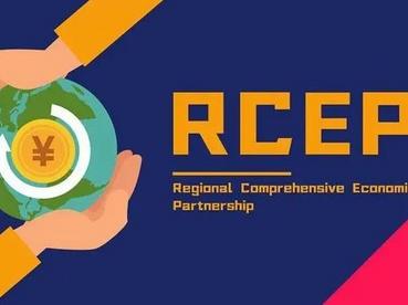 企业抓住RCEP机遇会议召开