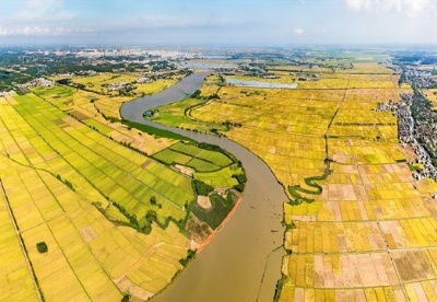 湛江市主要农作物良种覆盖率达到97% 加快种业强市建设