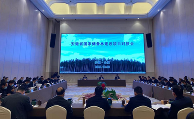 加大林业“双招双引”力度   安徽省国家储备林建设项目对接会在合肥召开